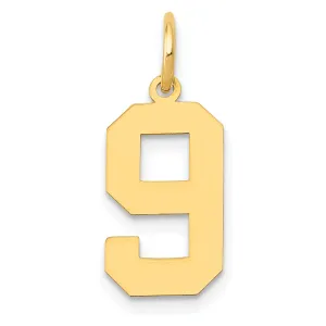 14K Gold Polished Number 9 Charm Laser Cut Medium