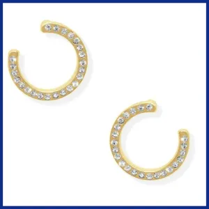 Pav Circle Earrings