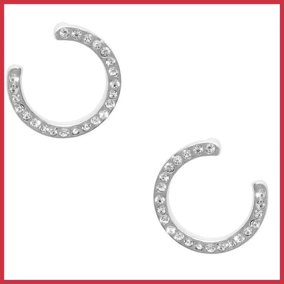 Pav Circle Earrings