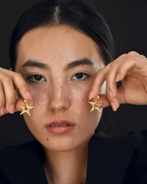 Tinted Star Statement Ear Studs